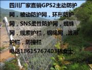 �ؑcGPS2���ӷ��o(h��)�W(w��ng)�S�ҡ�߅�·��o(h��)�W(w��ng)�r�����l(f��)䓽z�W(w��ng)