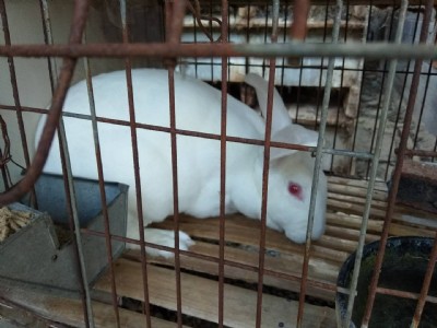 ��������䷽���������ô����