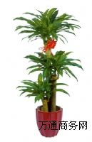 ��ƽ�^��ˮ�򸽽��k���ҾGֲ��[