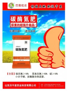 ��ǧ��̼ø����̼ø����̼ø���S̼ø����