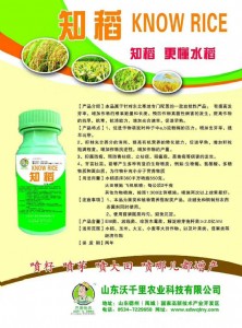 ��ǧ��֪��̼ø����̼ø���S̼ø����