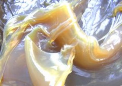 �S��ֱ���㻯�ƾ������(r��n)��֬���r(ji��)��(y��u)�ݣ��gӭ��ԃ