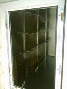 ������{�����F���ӝ���