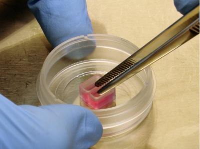 ���ی�򞣯��������2�ײ�������B��24�װ壭80206 8