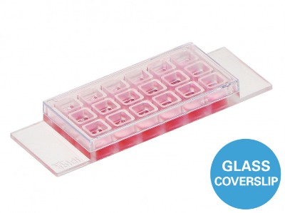 18��ǻ���d��Ƭ - 81816 ��ibidi