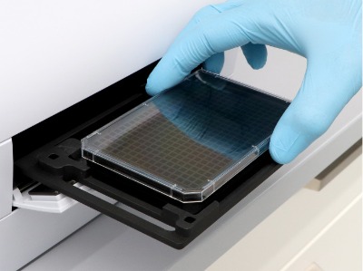 384�����B��