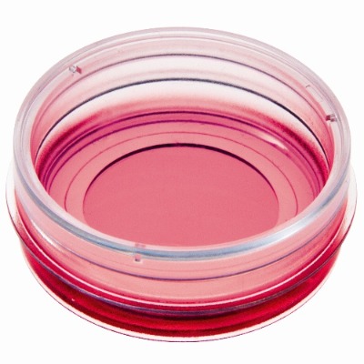 ��ibidi µ��-dish35mm���B��