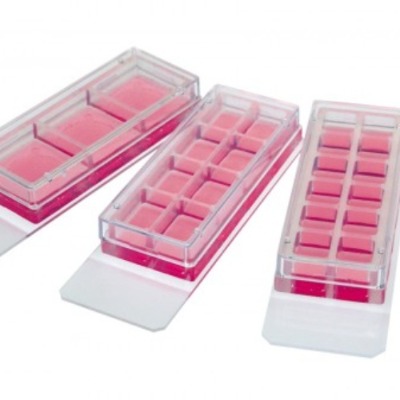 3�ף�8�ף�12�׿��Ƴ�������B(y��ng)�d��Ƭ��80381