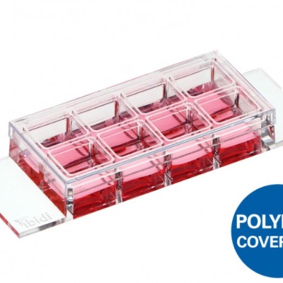 -slide 8�ת����߱�ǻ���d��Ƭ-80801