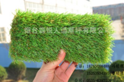 ������������ɫ��ƺ_���e�\(y��n)��(d��ng)