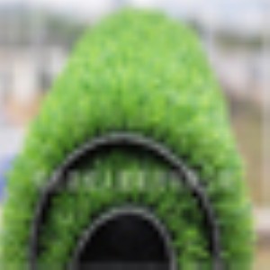 ����ɭ���ٲ�ƺ�و����I(y��)����