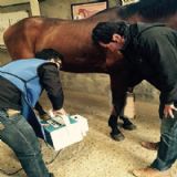 ��yʽ����dr