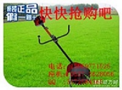 �S��ֱ�N�ě_�̃�ȼ��ƺ��ݙC