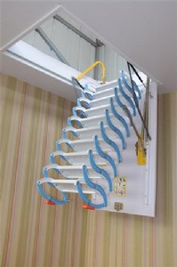 �����w����s���ݹ���