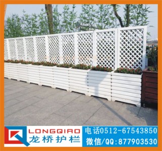 �K�݄e�������o�� �e�������ڗU ��ľɫ ����ľ��ɫ