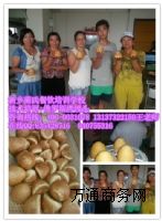 ���϶��_˹���z�^�ڱ��õ���Ӗ�WУ���ļ�