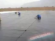 ��ꖵ����Ҹ�����ˮ��/�ܿڷNֲ����Ĥ