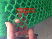 ���|�I�ߏ������W���Bֳ���ϾW