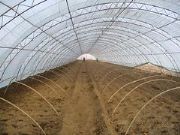 �����ṩƷ�ƺõĶ���Ĥ�YӍ������Ĥ�r��