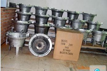 d401006051g4560z21-lit