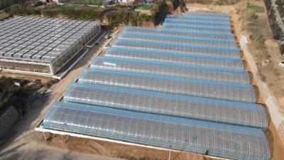 �F(xi��n)����Ĥ���Ҵ���l(f��)չڅ��