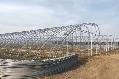 ���Ҵ���ľS�o�c���B