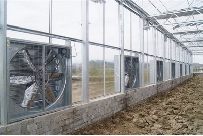 ���Ҵ���ؓ(f��)���L(f��ng)�C