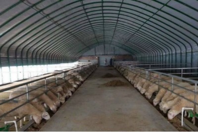 ���Ҵ�������Щ�^�õķNֲ�Ŀ