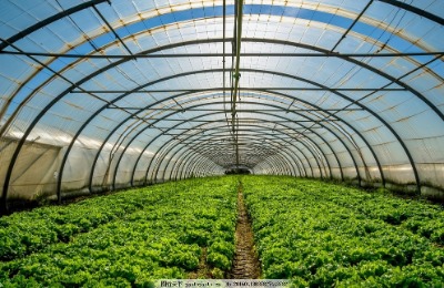 ���Ҵ�����ޏͷ���