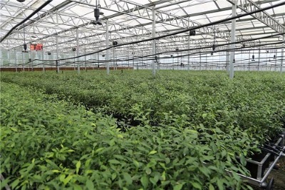 ���ܜ��Ҵ���ι��O(sh��)ʩע�����