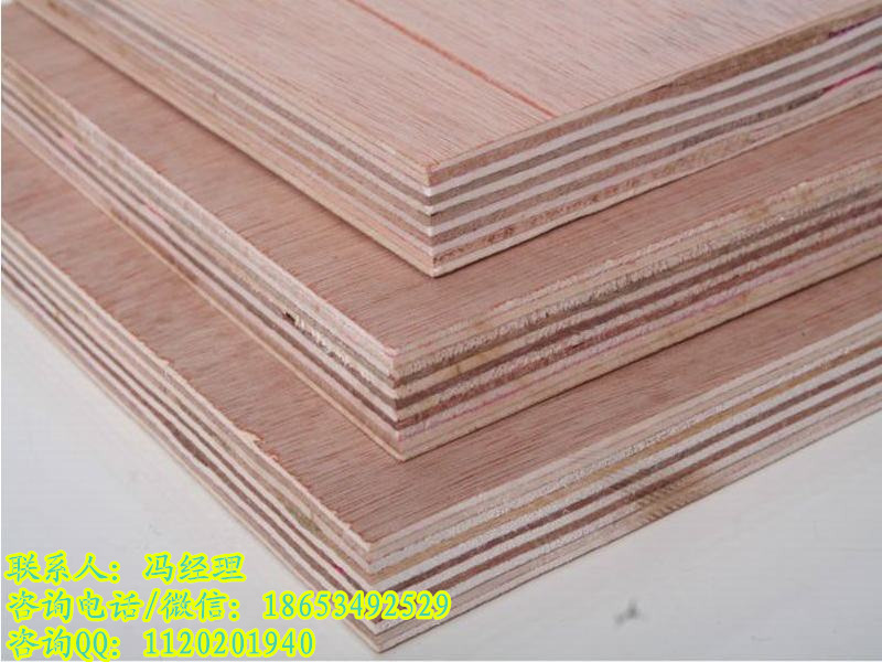 ���Ӱ��z�ϰ� �бP���z�ϰ� ��Ѭ��ľ��