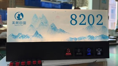 �Ƶ�����T��