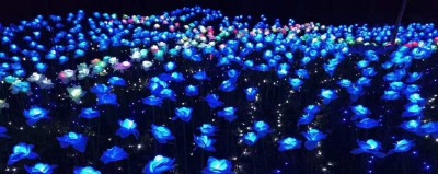 ledõ�廨�����������⹝������