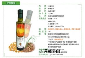 ���� ɳ���� ɳ������