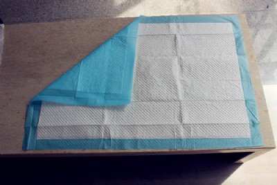 �ǃ� �{���y�w�S�����o(h��)��| �����־� �����l(w��i)��