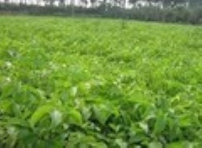 ������ 1�׺����� ɽ��������r�� ������ 1�׺����� ��Ʒ