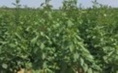 ����͘���*2-3�����͘���*�������͘���*����͘���r