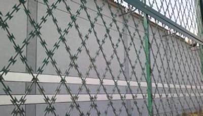 �O�z������䓾W��