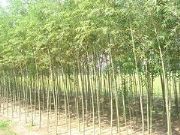 ����������(b��o)�r(ji��)_��(sh��)�ݵ���������