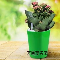 ��˹��(y��u)(li��n)�Ԅ�(d��ng)��ˮ���� �k��������ֲ�����ϻ��� �S��ֱ��