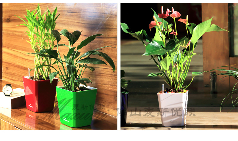 a01�a(ch��n)ƷԔ���01_04