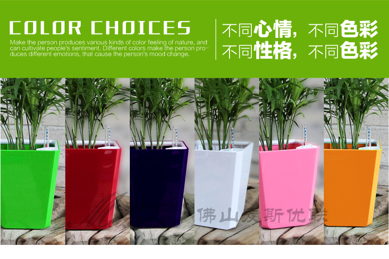 a01�a(ch��n)ƷԔ���01_02