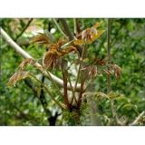 �����㴻�N��