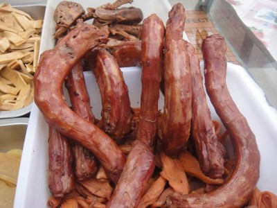 ��h�þ�������/���ھþ�������/��ô���˾þ���