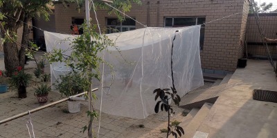 ï���Bֳ���W�Ӻ�40Ŀ�͕��ܶȺú�ˮ���x���W