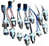 С�͉����_�P��΢�͉����_�P��sor�����_�P