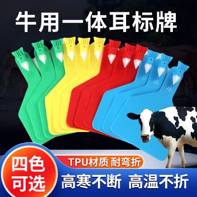 ţ������Q��