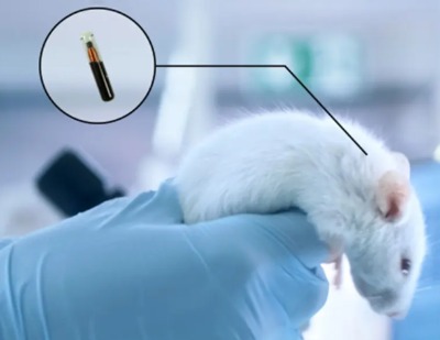 �������ڄ���˺��ϵđ���