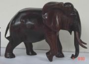 �tľ�����ˇƷ