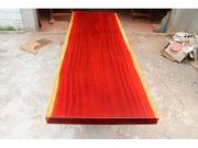 ľ�������t����